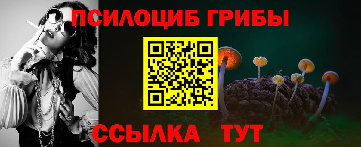 наркота  Вход с VPN  Донской  Псилоцибиновые грибы мицелий  Галлюциногенные грибы Psilocybine cubensis 